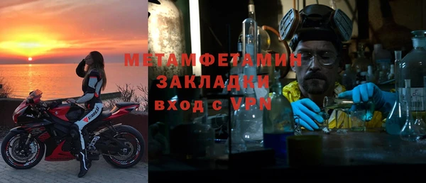 прущие грибы Каменск-Шахтинский