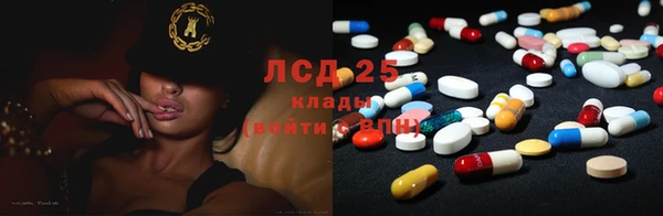 прущие грибы Каменск-Шахтинский
