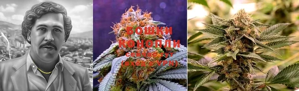 mdma Каменногорск